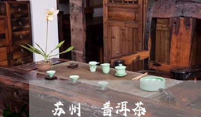 苏州 普洱茶/2023042822307